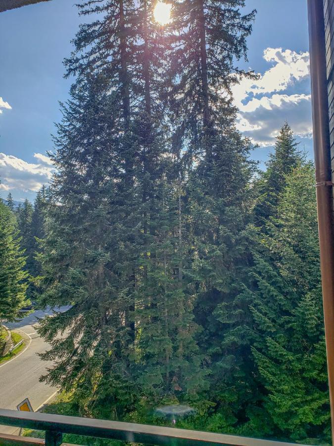Lovely Borovets Apartment Exterior photo